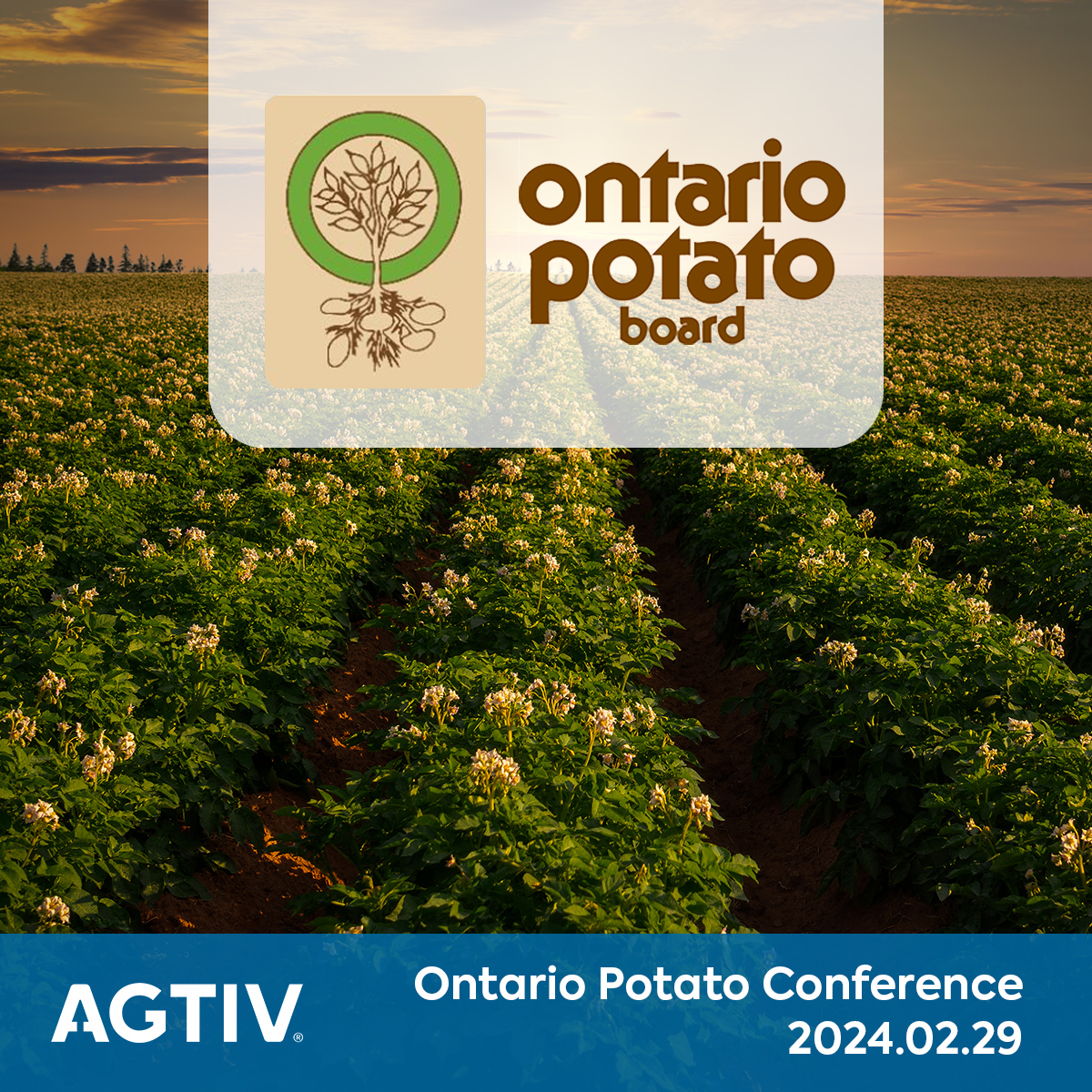 Join us at the #OntarioPotatoConference to explore the benefits of #AGTIV bioinoculants that enhance potato yields and quality!

Rendez-vous à l'Ontario Potato Conference pour discuter des inoculants biologiques AGTIV® qui améliorent le rendement + la qualité des pommes de terre!