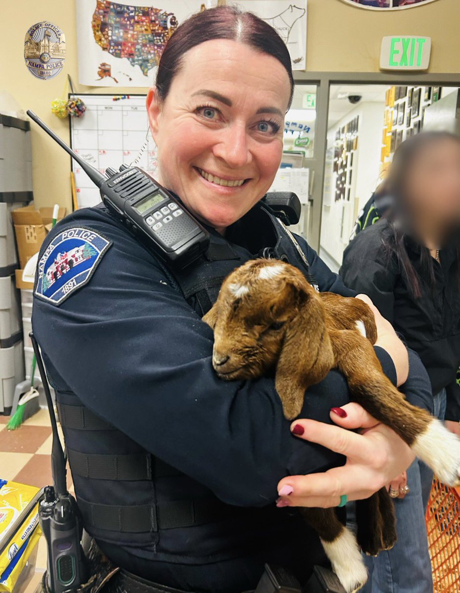 NampaPolice1's tweet photo. The best part of being a School Resource Officer is hanging out with the kids! 
Happy Monday. 
#MondayMotivation #YouGoatThis #YouveGoatToBeKiddingMe #NotKidding #NoBaaaaaadDays #NPDSRO https://t.co/Fq7i1wZ6ia