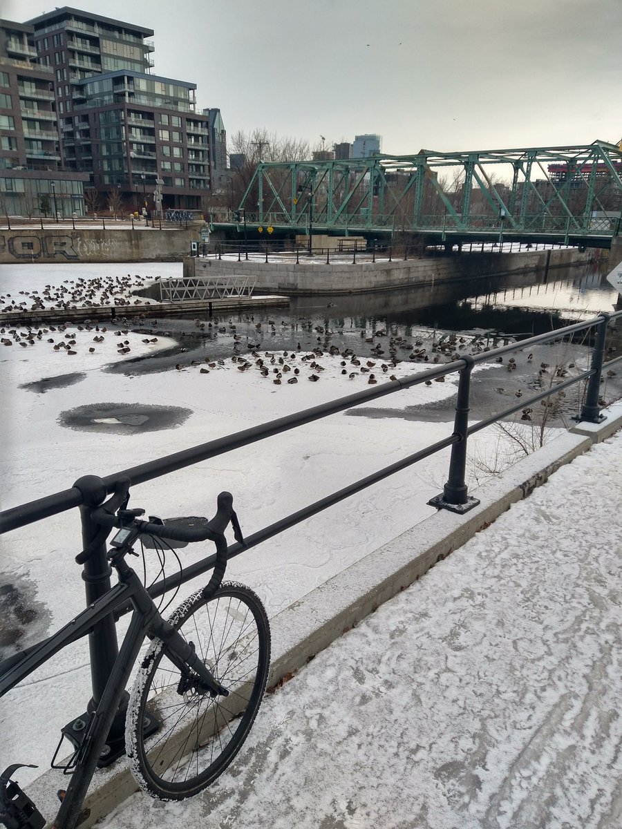 sylvainther's tweet photo. Embouteillage au canal Lachine https://t.co/vd62Y70fyS