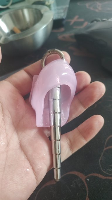 #贞操锁 #cbt 平时还需要这么待着得劲 https://t.co/Dn6iC5JlhH<a href="/tag/%E8%B4%9E%E6%93%8D%E9%94%81"class="tags">#贞操锁</a><a href="/tag/cbt"class="tags">#cbt</a>