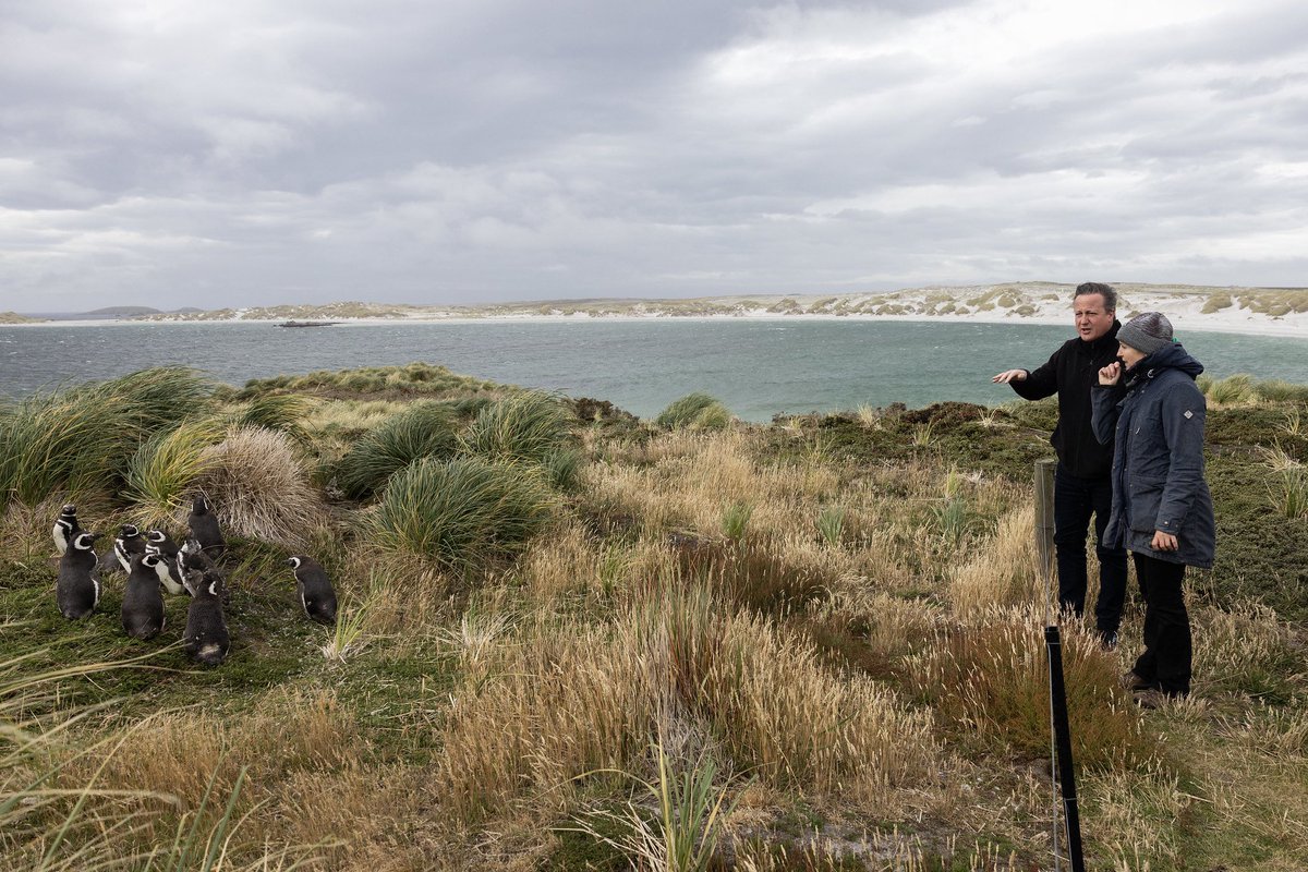 5/5 The #Falklands is home to a million nesting penguins (5 species) this time of year 🐧 On a walk around Gypsy Cove - part of one of the Islands' nature reserves - Lord Cameron was able to meet a few Magellanic penguins alongside @FI_Conservation, and Watch Group kids 🌱