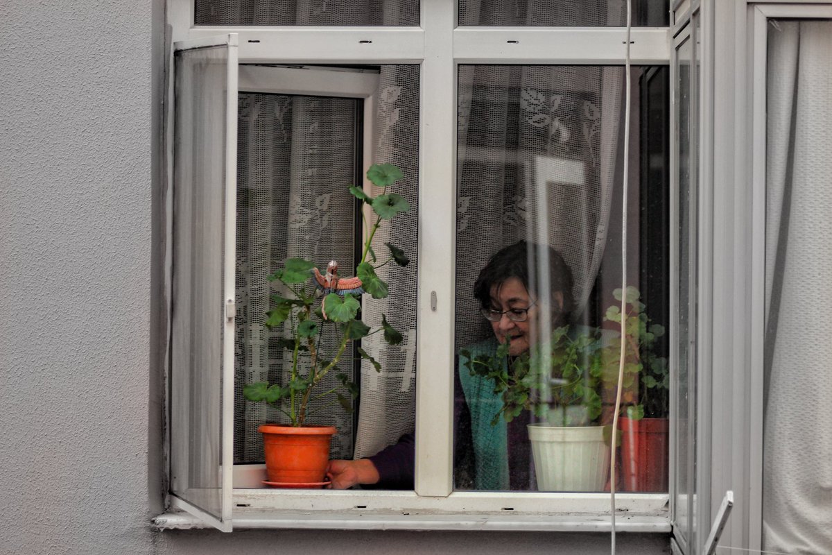 Ferdi Sidar tweet media