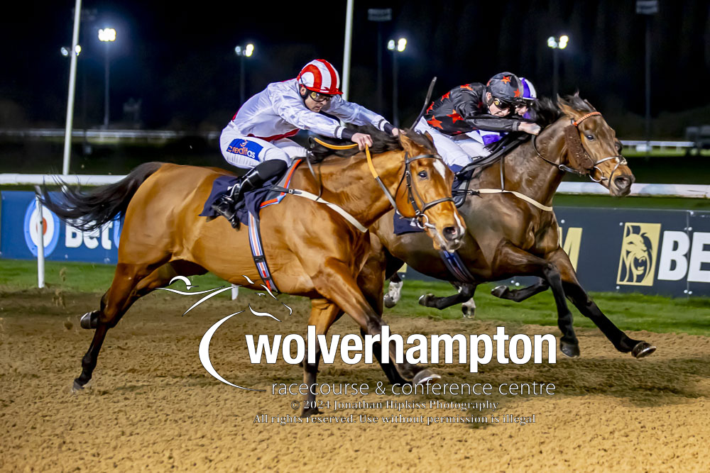 🏆 Race #5) Pysanka for @dml_racing 🏆 Race #6) Lawmans Blis for @ivanfurtado21 🏆 Race #7) Old Chums for @TomDascombe 🏆 Race #8) Endless Power for James Tate 📸 @WolvesRacesPics