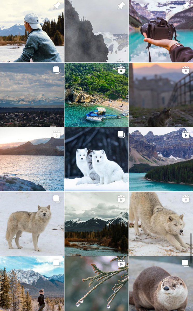 If you have a second, take a look at my Instagram for more of my photography📸

instagram.com/thesneakylens?…