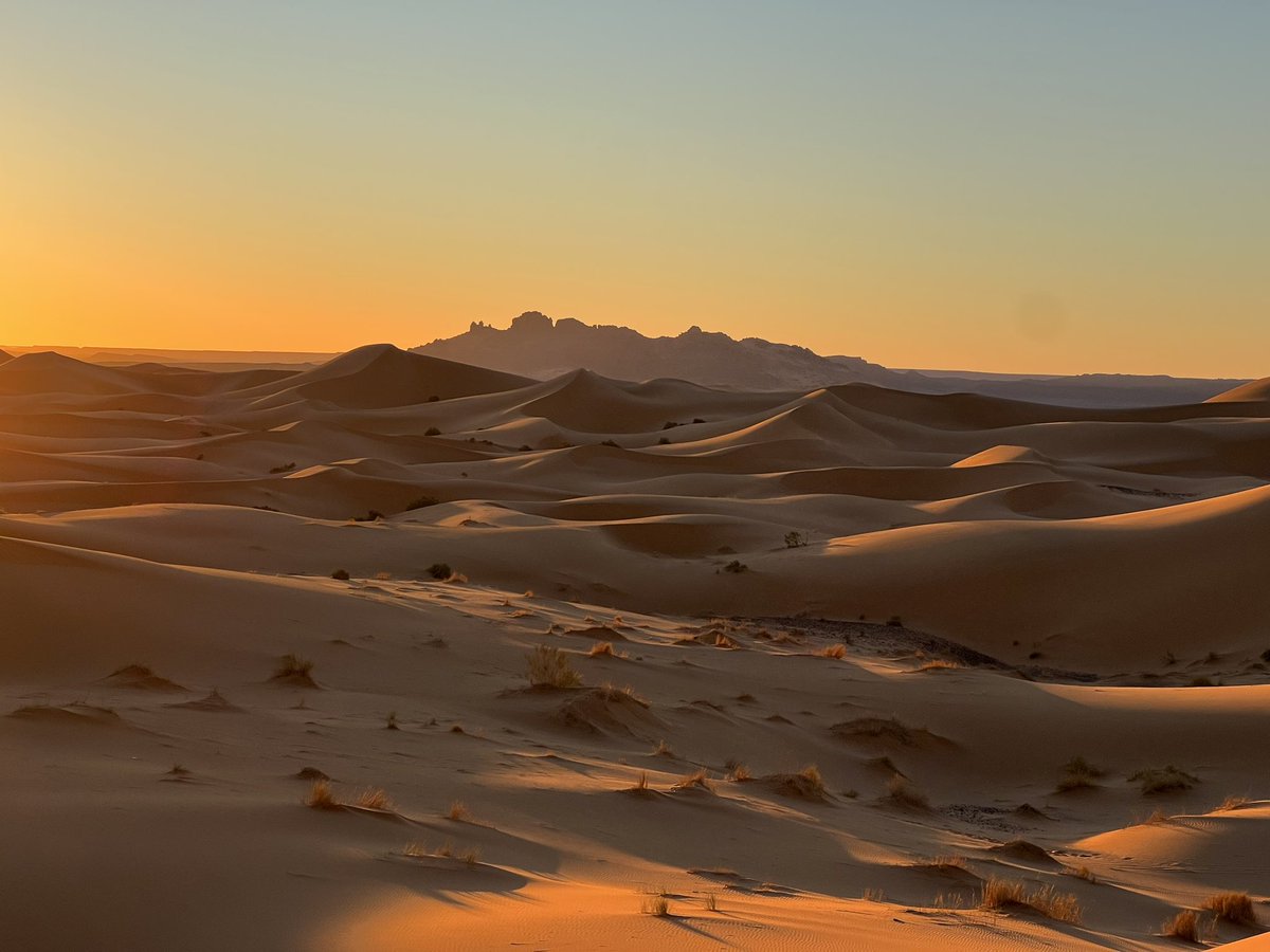 Hayden Field tweet media