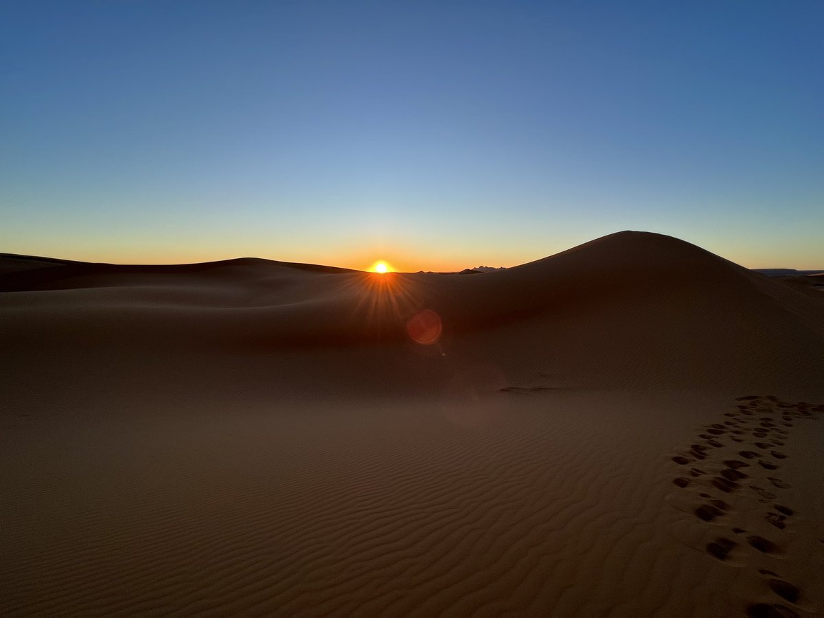 Hayden Field tweet media