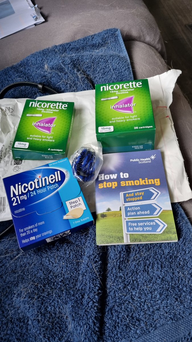 Margaret 🏴󠁧󠁢󠁳󠁣󠁴󠁿💚 tweet media