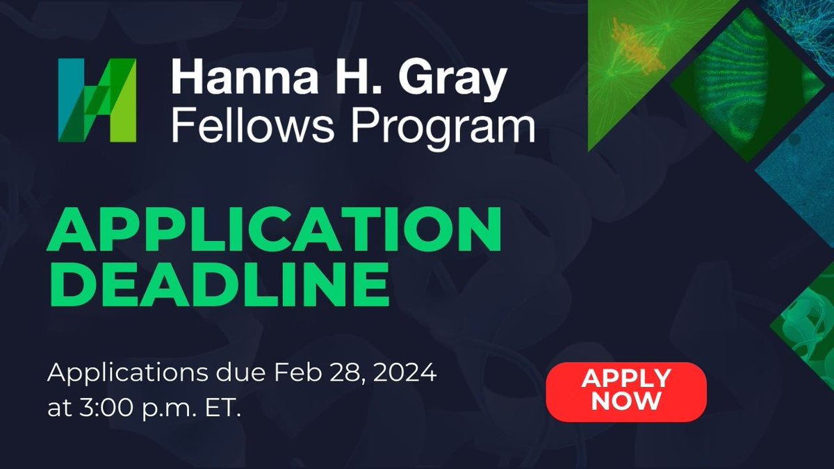 🚨 There are THREE DAYS left to apply to join the 2024 cohort of the #HannaGrayFellows Program! Learn more & apply by this Wednesday, Feb. 28th, at 3 p.m. ET! hhmi.news/3V0CXIm 👈