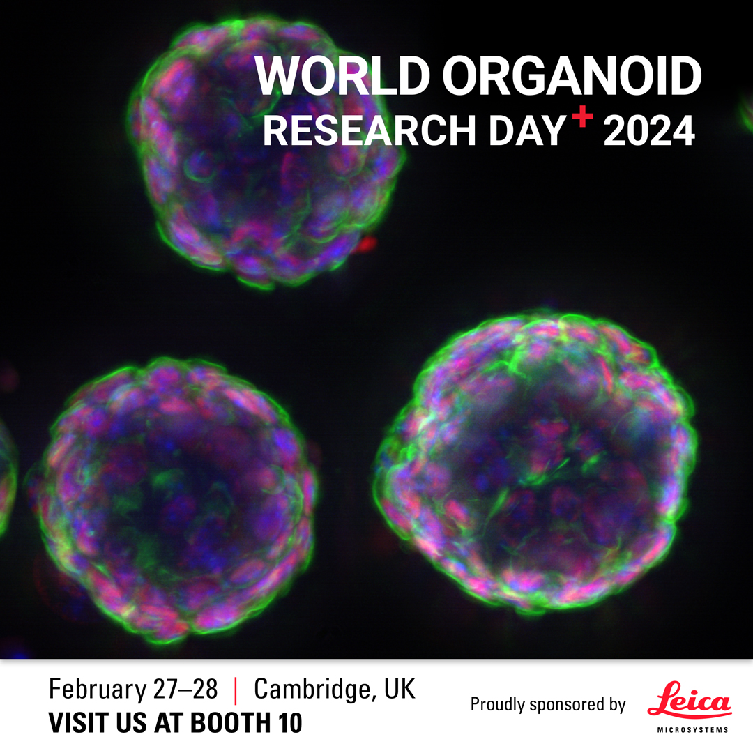 The World Organoid Research Day+ conference, which we’re proudly sponsoring, is nearly here! To celebrate, we're sharing this free eBook on #microscopy and AI-based techniques for imaging #organoids @OrganoidSphero1   #WORD2024

Find out more👉 fcld.ly/uy9g0pp