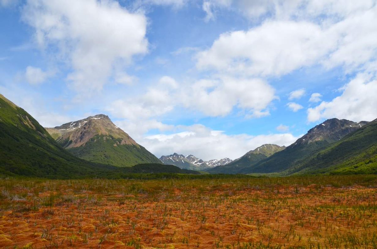 New PhD Opportunity: 'Evaluating the relative importance of the largest natural carbon sinks in Patagonia'. Working with fjord and peatland sediments at @UniofExeter and @ParisSaclay. adum.fr/as/ed/voirprop…