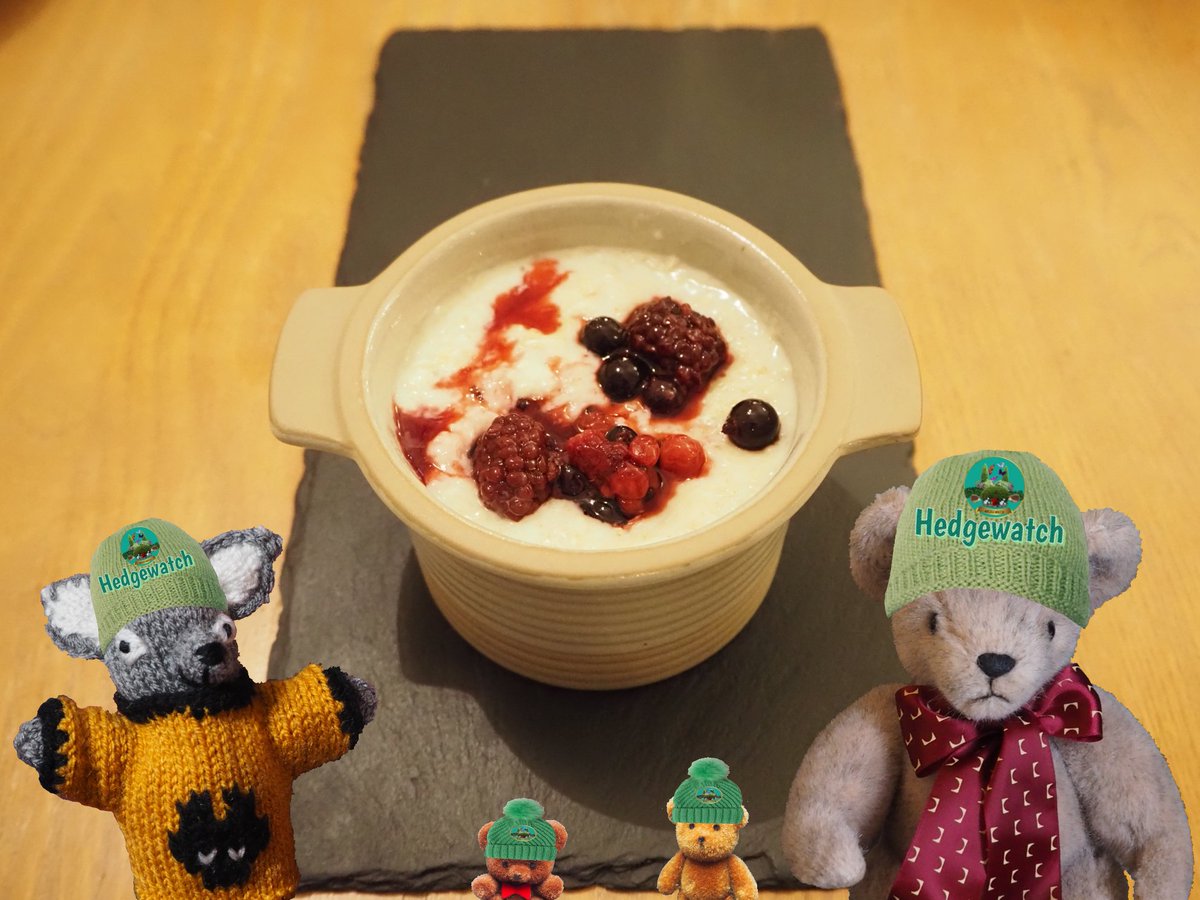 azzurro_azzurro's tweet photo. #Hedgewatch on 3rd January
@Hedgewatchers @AlanSla90124663
@TheVicarageCat @MunchPudding
@starbuckssue @Prinzi82548537
After a yumishious porridge we went looking for #SnowdogsBrum in Birmingham🐾 https://t.co/Ois8AhwprM