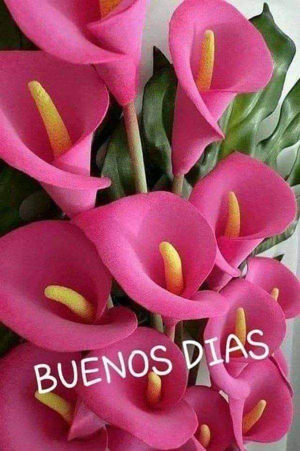Buenos días
