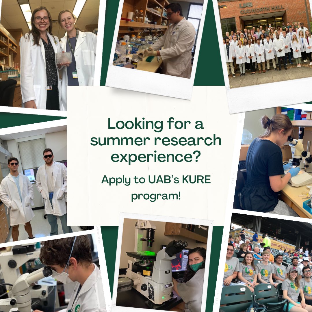 It’s the final week of our #KURECountdown! 🎉
Our last info session for KURE is today at 4 PM CST. See you there!
•
#KUHmmunity #stem #kuhprime #kuhresearch #kidneysarecool #clinicalresearch #summerresearchprogram #summerresearch #uabkure #biomedicalscience #biomedicalresearch
