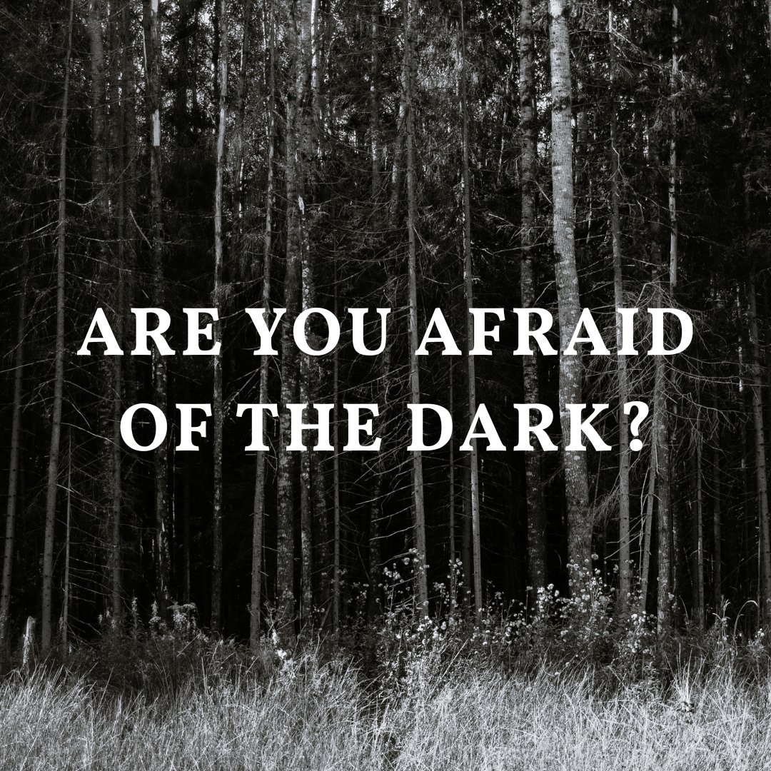 #AREYOUAFRAIDOFTHEDARK? Come find out and step into the darkness where your heart races. Our festival theme this year is embracing the darkness of horror. Join the 2024 Haunted House FearFest Festival (10/24-10/26) in NYC. Submissions are open- loom.ly/qzrcVO0