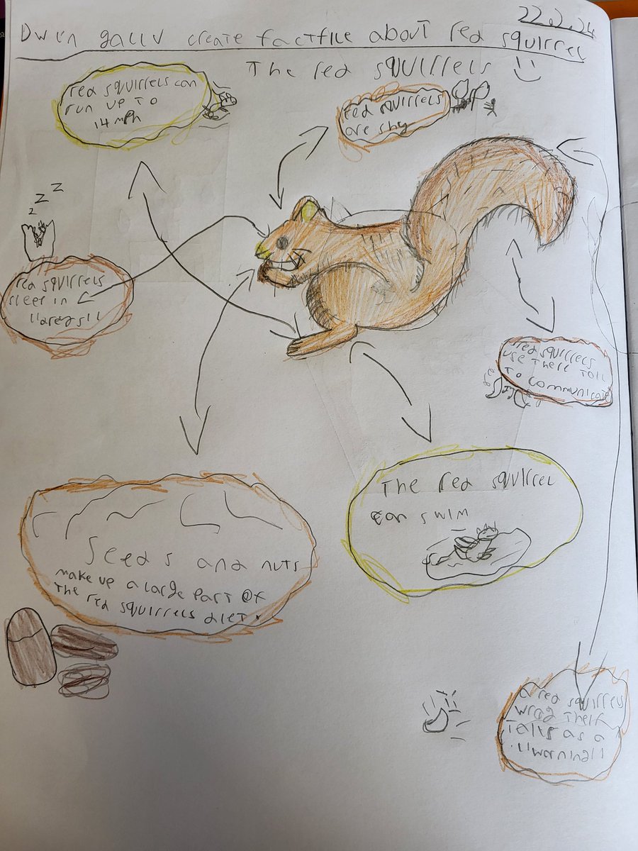 Dosbarth Sirhowy really enjoyed their Red Squirrel workshop with @EcoSchoolsWales and @TheWildersTribe. They created fabulous Squirrel factfiles using the facts they learned! @UpperRhymneyPS @URPSSirhowy