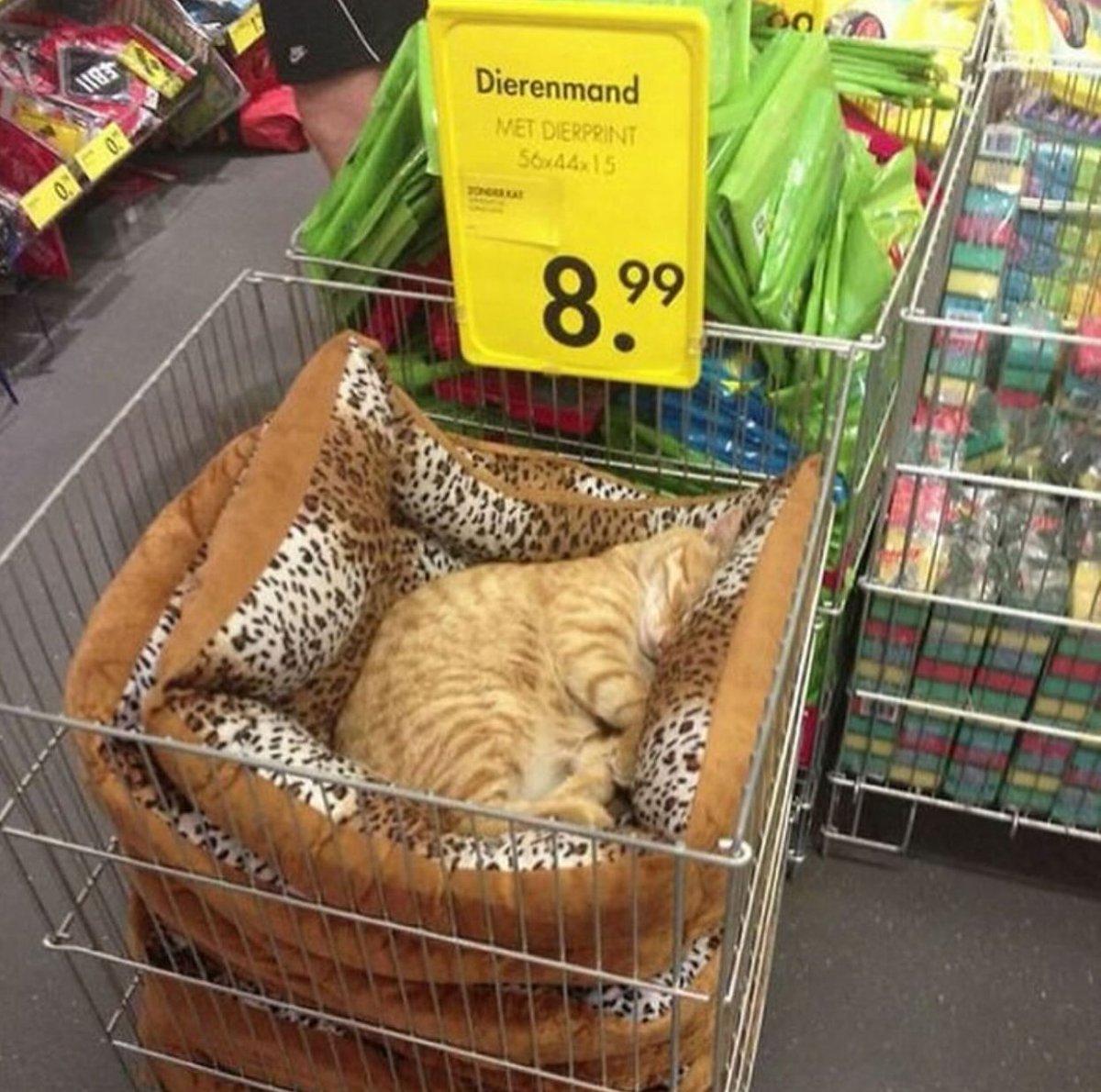 try it before you buy it