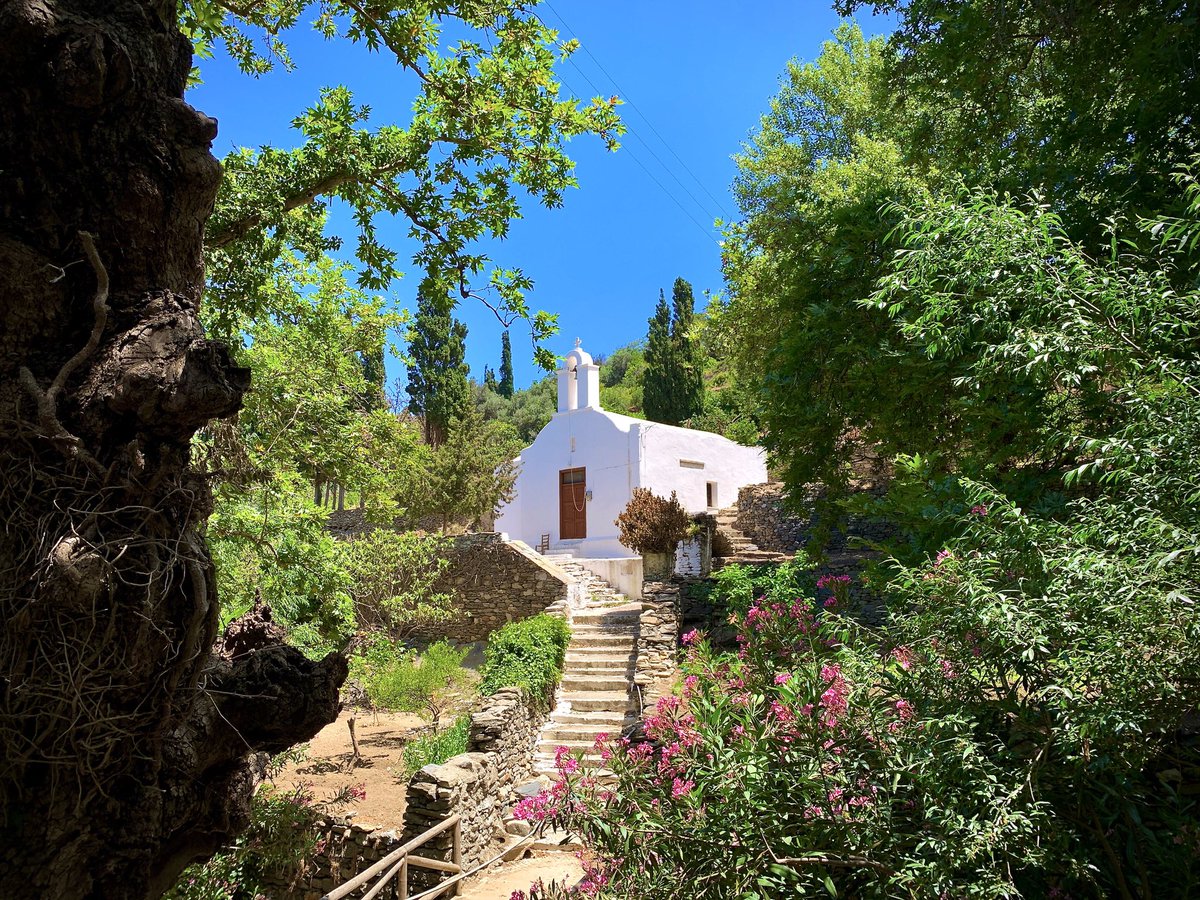 Evan Levine tweet media