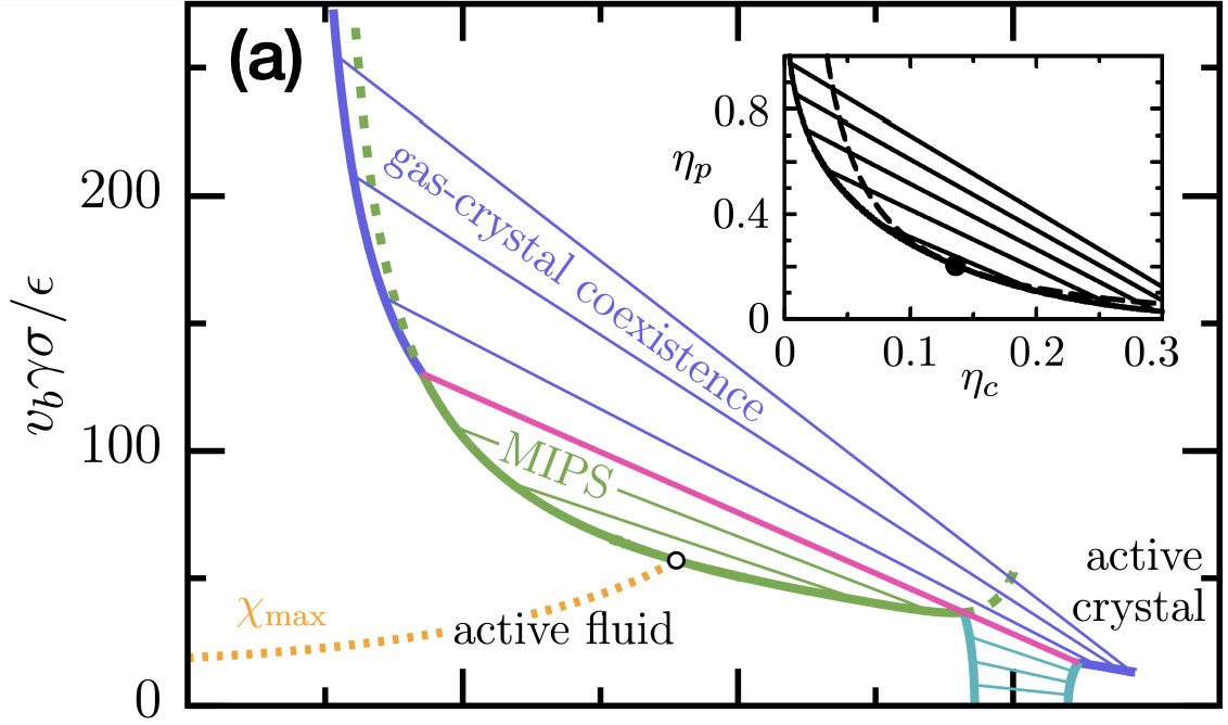 Active crystallization from power functional theory, Sophie Hermann and Matthias Schmidt #CollectiveDynamics #ActiveMatter  go.aps.org/3SVL5Hs