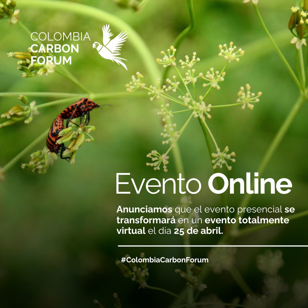 Ambiente y Comunicaciones tweet media