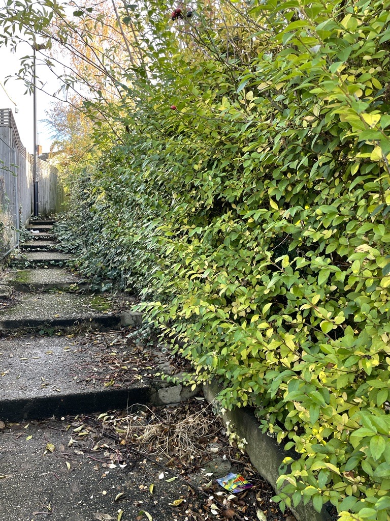 LondonPS_CP's tweet image. Our Waltham Forrest Payback team has been working to clear and open up the alley at Sewardstone Gardens. Great job!