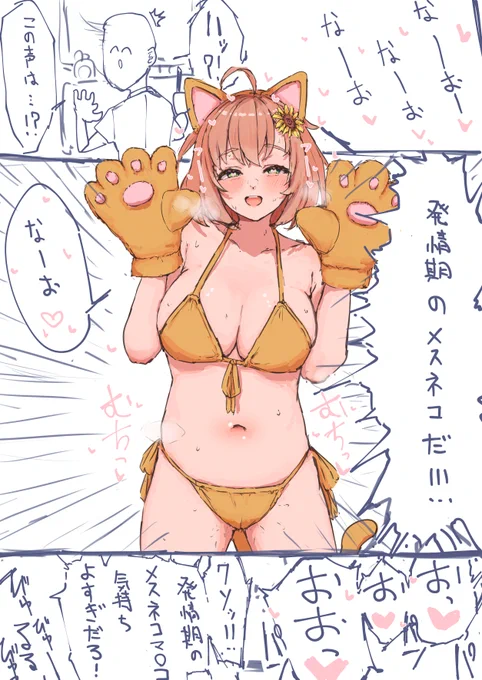 今日はネコの日です🐱🐱🐱 