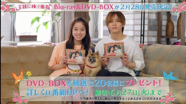 王様に捧ぐ薬指 DVD 眠く 王様に捧ぐ薬指 DVD 眠く