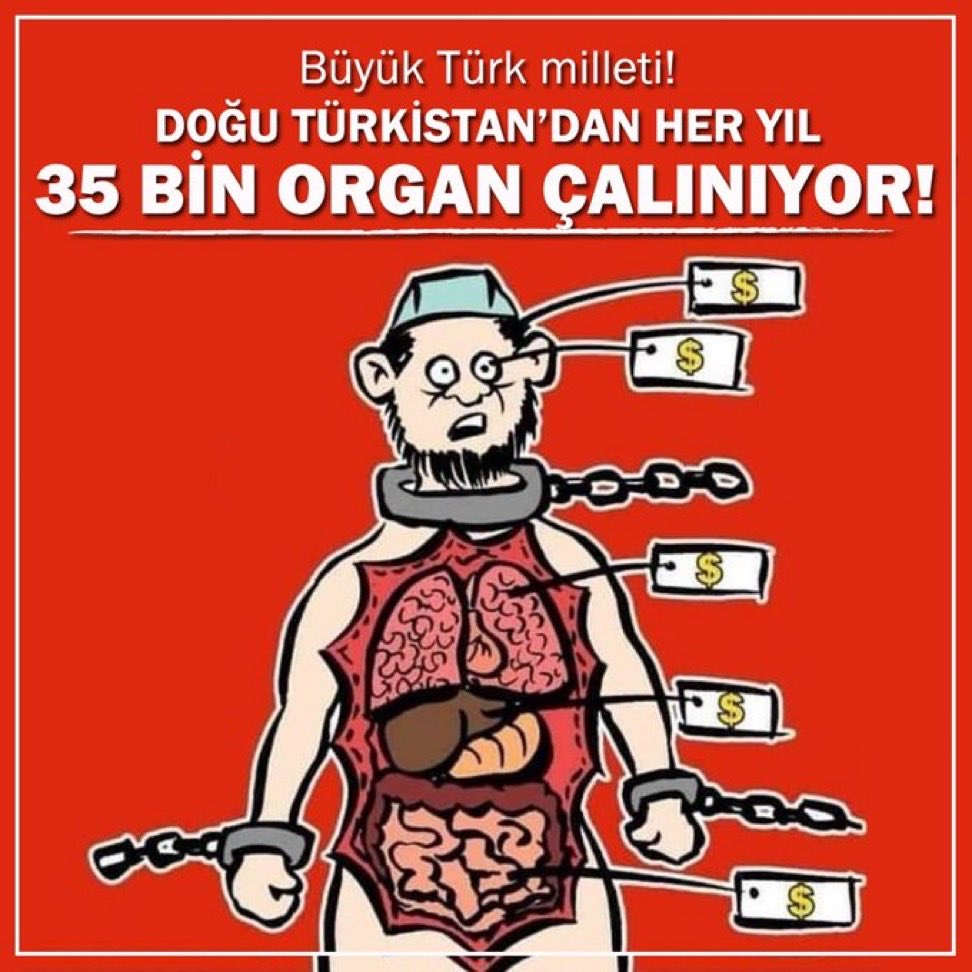ASPI tarafından yayımlanan Çin'in organ ticaretiyle ilgili bir raporunda Uygur "karaciğeri" Çin'in karaborsalarında 160 bin dolara satışta