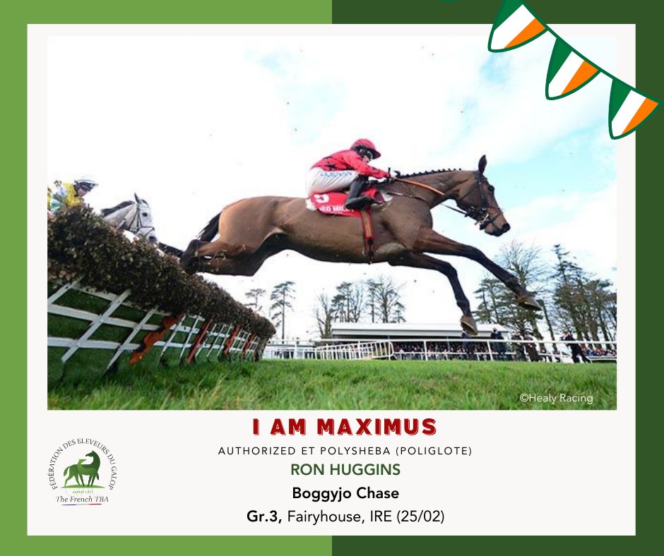 Fedeeleveurs's tweet image. 🇮🇪Toutes nos félicitations à Ron Huggins, co-éleveur de I AM MAXIMUS, fils d'#authorized, pour sa victoire dans le Bobbyjo Chase, Groupe 3 à Fairyhouse, IRE (25/02) 🙌
#vivelelevagefrancais #guardiansofthethoroughbred #RaceAndCare #BreedInFrance