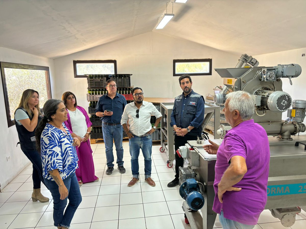 ✅️En el marco de la visita del director nacional @INDAP_Chile , seremi @ccortesolivares visita almazara de aceite oliva Alma, que es una de las que posee sello Denominación de Origen valle del #Huasco y que lanzó el primer aceite oliva🇨🇱pensado en niños.
