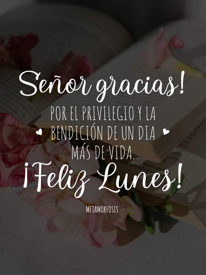 Buenos días excelente Lunes 🙌💙🕊️bendiciones