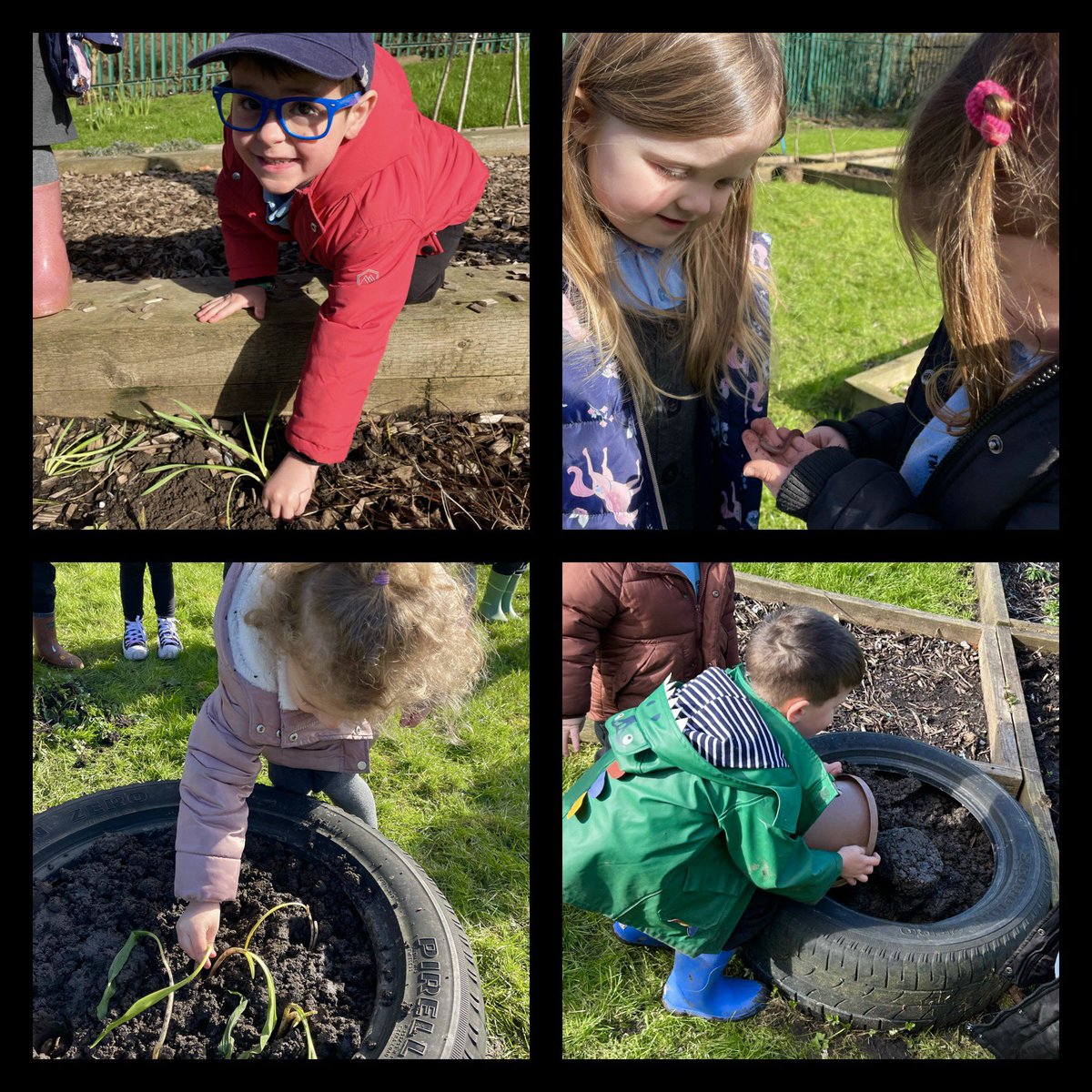 ysgoldewisant47's tweet photo. Diwrnod llawn hwyl yn chwynnu, cario pridd a phlannu bylbiau. #meithrin https://t.co/r2ltPFRYDS