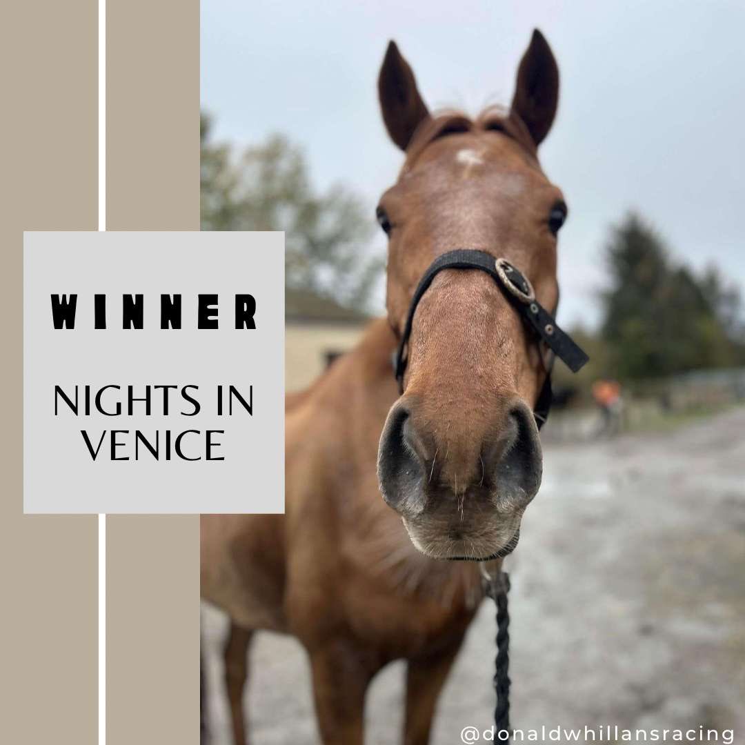 WhillansRacing's tweet photo. 🥇 WINNER 🥇 

NIGHTS IN VENICE breaks his maiden tag in fine style at @ayrracecourse under a superb ride from Henry Brooke. Well done to the Legends In Disguise and the team at Dodlands. #mac #Winners #NH #racing https://t.co/hkEzTcXdq7