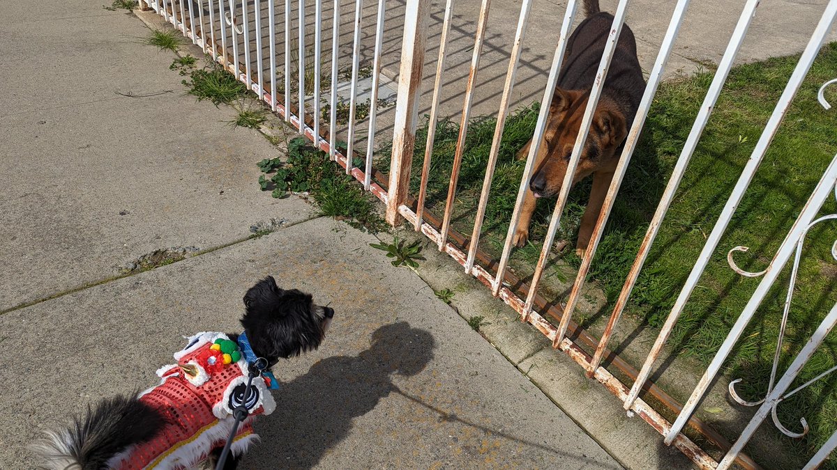 #gotv door knocking in Sacramento with <a href="/HIPcalifornia/">Hmong Innovating Politics</a> , as part of statewide movement <a href="/aapiforceef/">AAPIs for Civic Empowerment Education Fund</a> <a href="/millionvp/">Million Voters Project</a> <a href="/CAcalls/">California Calls</a> <a href="/PowerCANow/">Power California</a> <a href="/BlkPowerNetwork/">Yes</a> <a href="/PICOcalifornia/">PICO California</a>