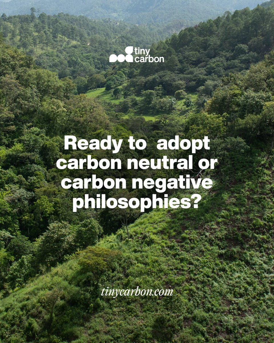 Calling on all would-be climate activists and businesses who want to commit to climate action projects to promote their net-zero and carbon-negative philosophies.   Join our newsletter via link in bio to learn how we can fight against climate change together! #TinyCarbon