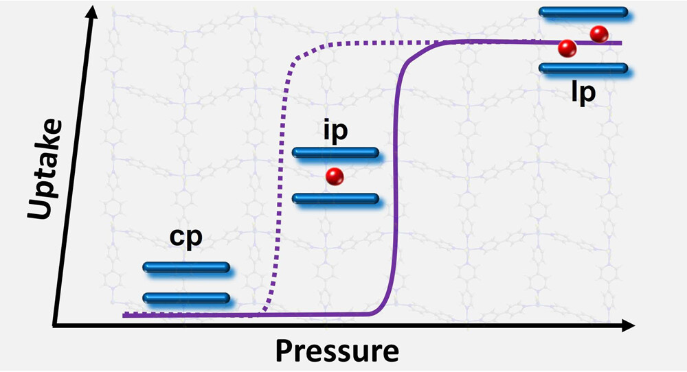 Insight into the Gas-Induced Phase Transformations in a 2D Switching Coordination Network via Coincident Gas Sorption and In Situ PXRD

By <a href="/ZGroupUL/">Mike Zaworotko group</a> <a href="/kaskel/">StefanKaskel</a> et al. <a href="/UL/">University Of Limerick</a> <a href="/tudresden_de/">TU Dresden</a> <a href="/ASTARsg/">A*STAR</a> 

Read the paper 👉 go.acs.org/8c0