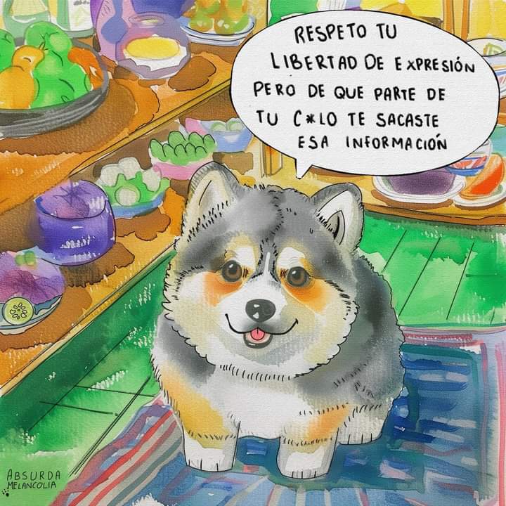 Jenn_Calix's tweet photo. @lopezobrador_ https://t.co/EhxD8rNPSI