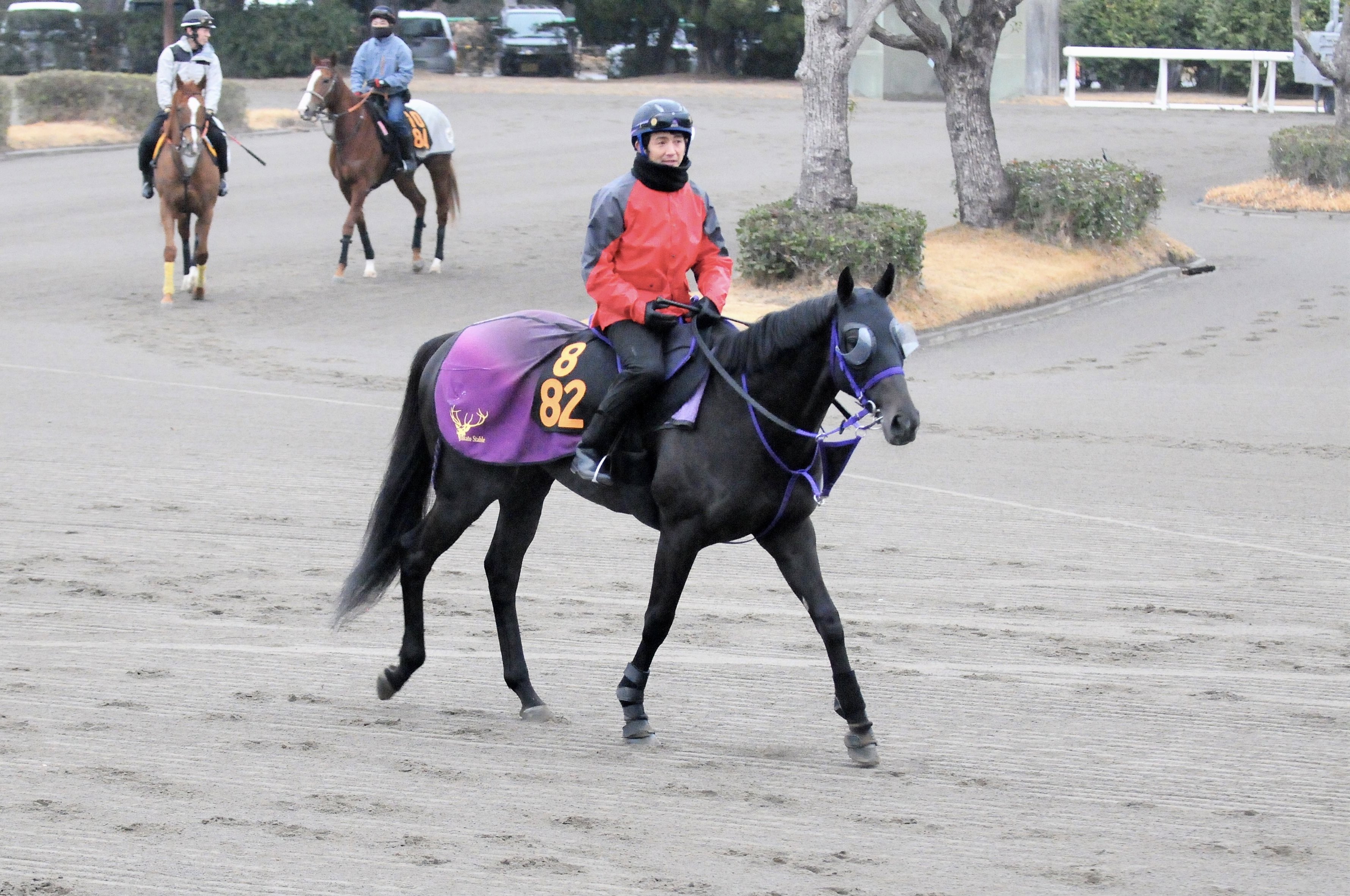 和田稔夫 Toshio Wada 🏇 週刊Gallop・サンスポ・夕刊フジ on X