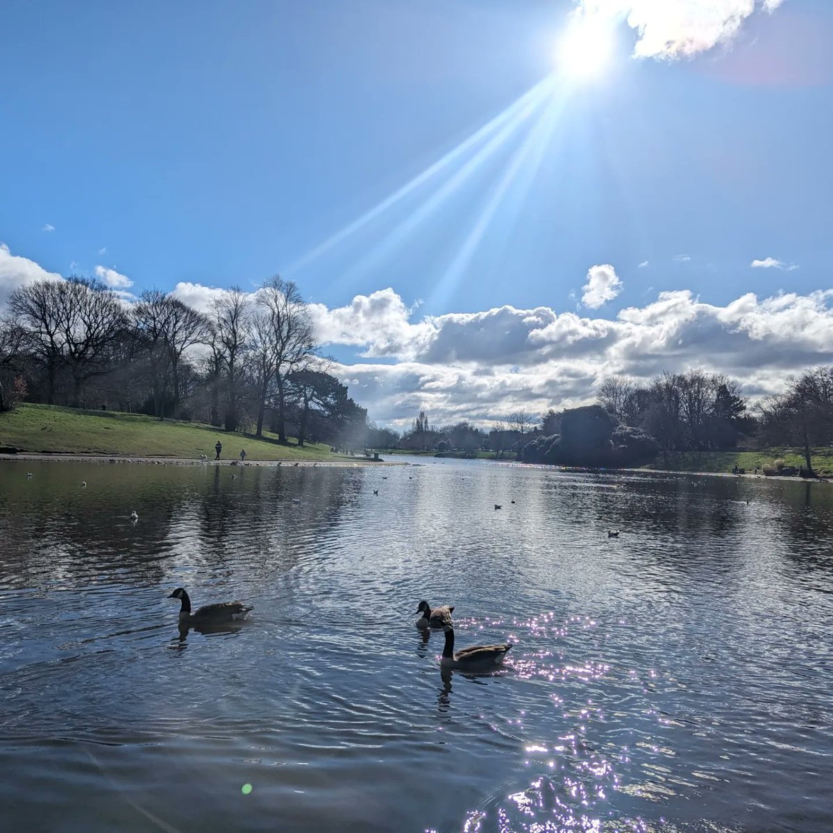 #SeftonPark at lunchtime