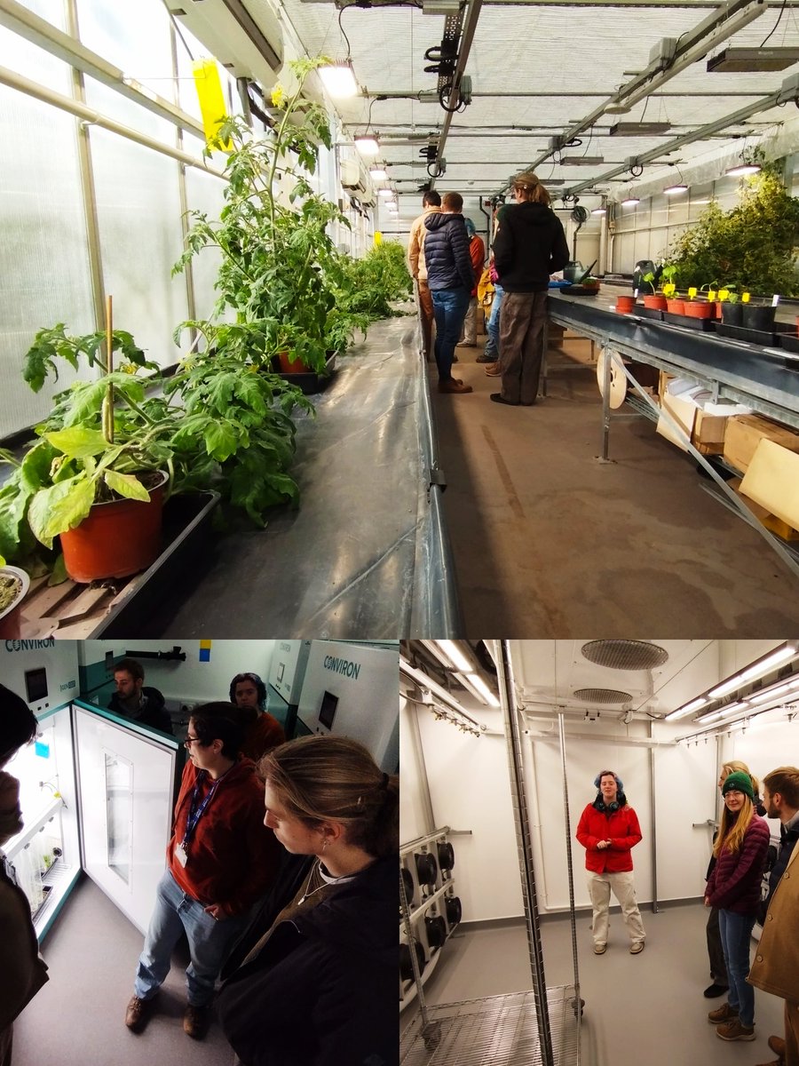 Bioimaging Centre UOE (@uoebioimaging) on Twitter photo Many thanks to the Greenhouse team <a href="/UoEBiosciences/">Exeter Biosciences</a> for giving our work placement students and our team the chance to see the fantastic facilities, including the exciting new weather pod!
#exetergreenhousefacilities #exeterweatherpod
@UoETechServices Many thanks to the Greenhouse team <a href="/UoEBiosciences/">Exeter Biosciences</a> for giving our work placement students and our team the chance to see the fantastic facilities, including the exciting new weather pod!
#exetergreenhousefacilities #exeterweatherpod
@UoETechServices