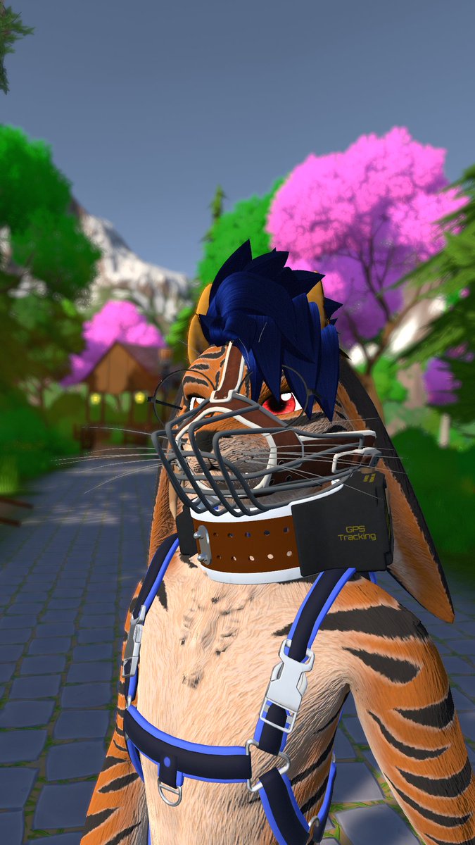 SonicFlori tweet media