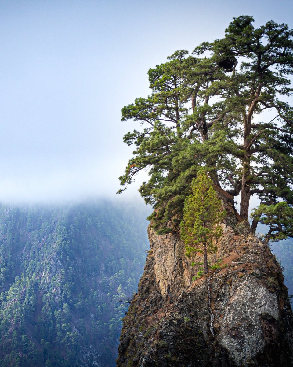 El Parque Nacional de la Caldera de Taburiente nos regala este tipo de estampas increíbles sobre la naturaleza que nos rodea