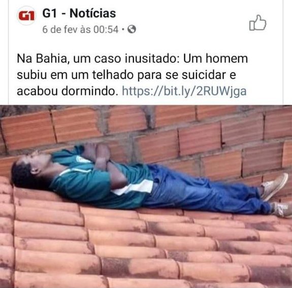 coisas burras ditas de forma inteligente (@burrosgeniais) on Twitter photo 