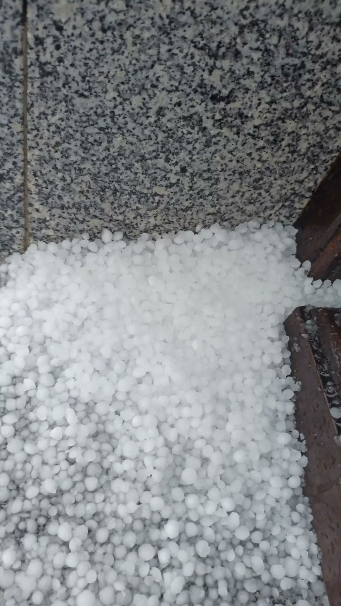 antonio cabrera vazquez tweet media