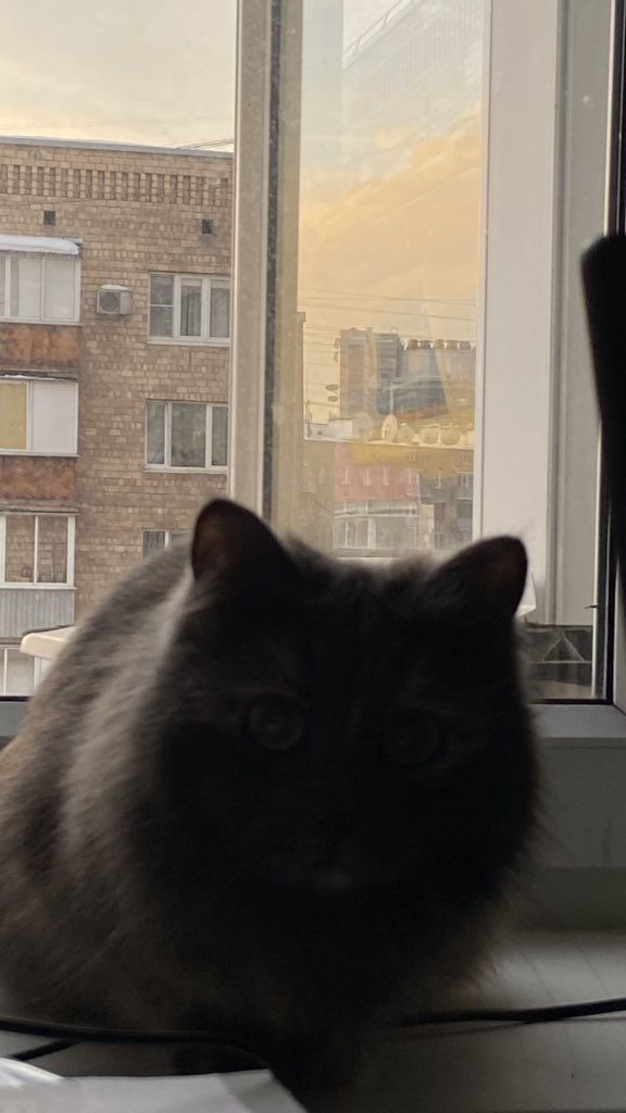 kr_trash's tweet photo. 17:44 
Солнце еще не село
Скоро весна https://t.co/7SHvHoYOVD