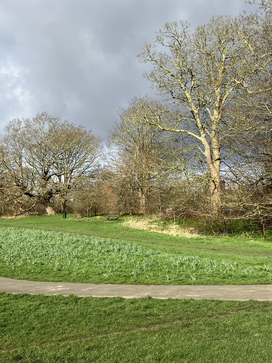 Event 305: Results, news and photos are up. Congratulations to Nikki who recently volunteered @parkrunUK for the 250th time, with over 100 of those occasions at Lloyd juniors. Thanks to Nikki and all the volunteers. parkrun.org.uk/lloyd-juniors/…