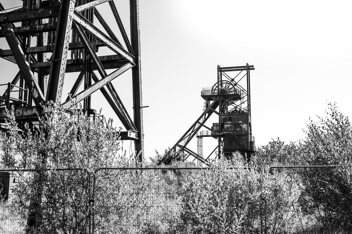 WISERD (@wiserdnews) on Twitter photo 🎟️ There’s still time to book your place! Our event marking the 40th anniversary of the #minersstrike takes place this Saturday (2 March) 9am-5:30pm at <a href="/cardiffuni/">Cardiff University</a>'s Bute Building - read more and register your free place: bit.ly/3N3qfUO #WISERDstrike40 🎟️ There’s still time to book your place! Our event marking the 40th anniversary of the #minersstrike takes place this Saturday (2 March) 9am-5:30pm at <a href="/cardiffuni/">Cardiff University</a>'s Bute Building - read more and register your free place: bit.ly/3N3qfUO #WISERDstrike40