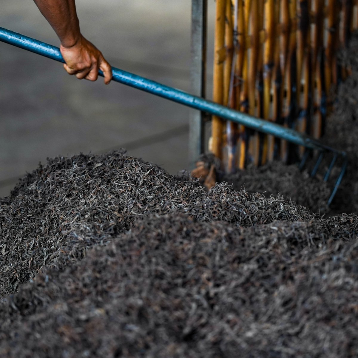 white2tea tweet media