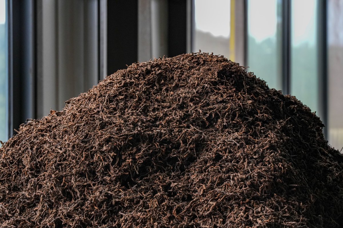 white2tea tweet media