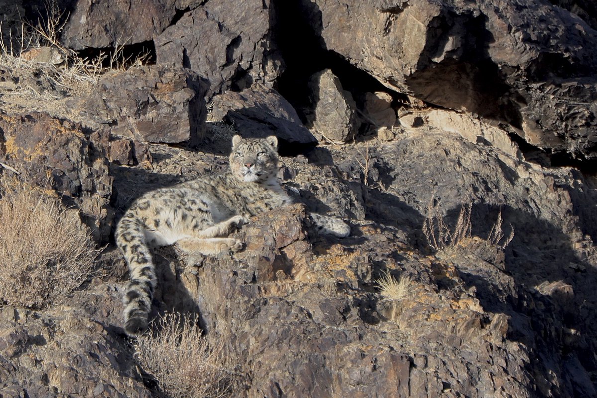 Chris Townend tweet media