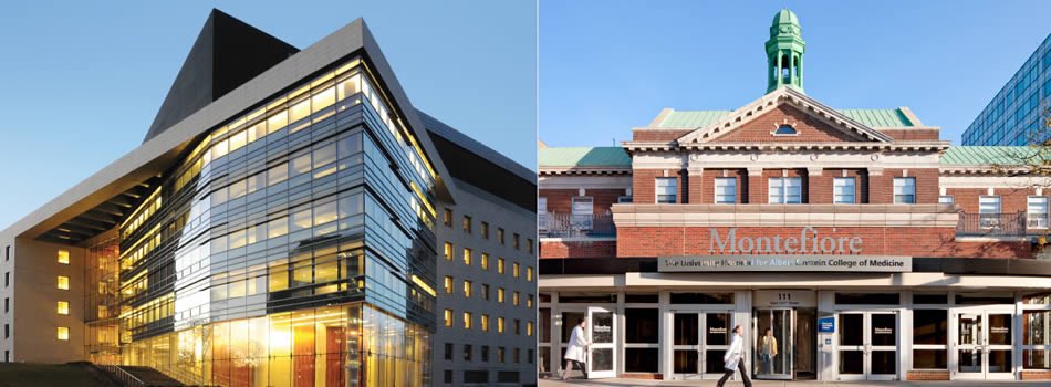 Vijay Agarwal (@drvijay_agarwal) on Twitter photo I can’t think of a more deserving institution. Honored to be a part of it. Congrats to <a href="/MontefioreNYC/">Montefiore Health System</a> <a href="/EinsteinMed/">Albert Einstein College of Medicine - Official</a>. I can’t think of a more deserving institution. Honored to be a part of it. Congrats to <a href="/MontefioreNYC/">Montefiore Health System</a> <a href="/EinsteinMed/">Albert Einstein College of Medicine - Official</a>.